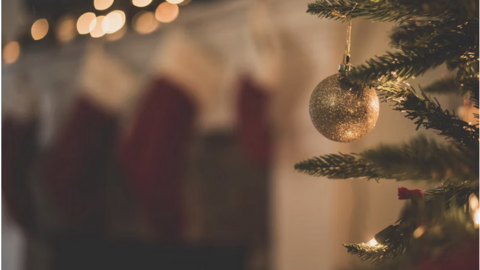 ornament hanging from a limb of a pine tree
