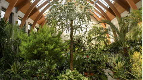 Conservatory at the New England Botanic Garden