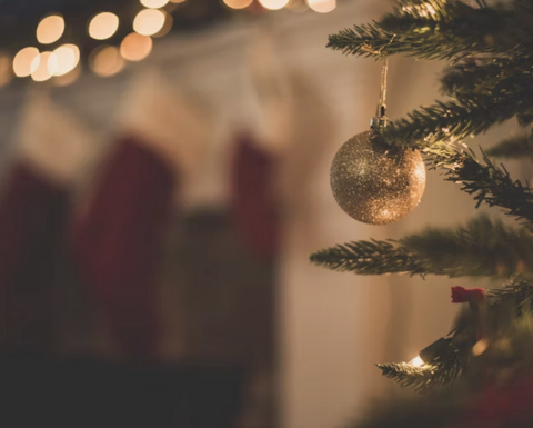 ornament hanging from a limb of a pine tree