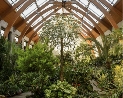 Conservatory at the New England Botanic Garden